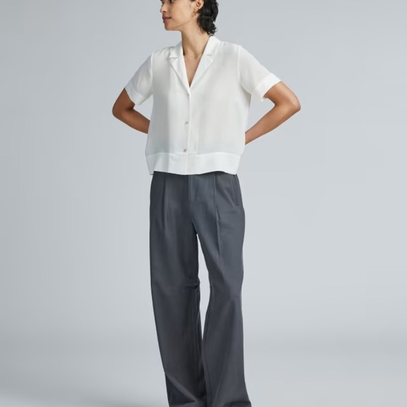 Everlane Silk Button Down Top The Notch Shirt - Picture 5 of 11